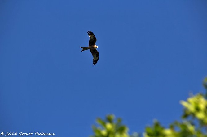 Wetter-Bild (Foto: Gernot Thelemann) Wetter-Bild (Foto: Gernot Thelemann)