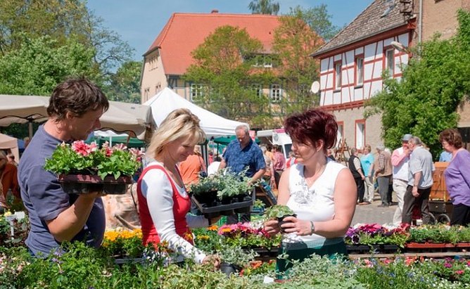 Thema Streuobstwiesen (Foto: Thomas Stephan)