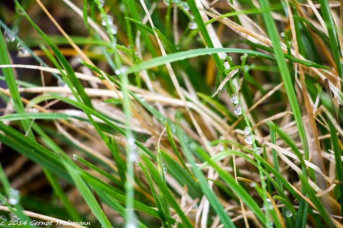 Wetter-Bild (Foto: Gernot Thelemann) Wetter-Bild (Foto: Gernot Thelemann)