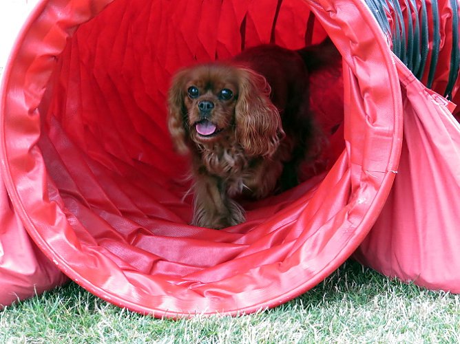 Mal etwas anderes für... (Foto: Erna Michael) Mal etwas anderes für... (Foto: Erna Michael)