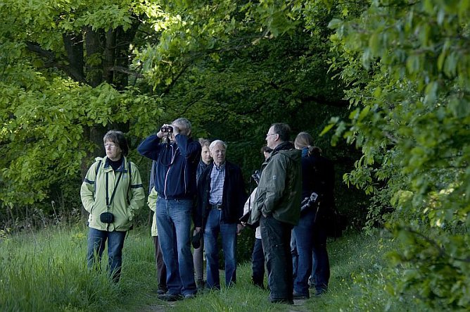 Landschaftsführung (Foto: Regionalmanagement Hohe Schrecke) Landschaftsführung (Foto: Regionalmanagement Hohe Schrecke)