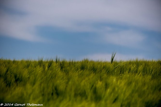 Wetterbild (Foto: Gernot Thelemann) Wetterbild (Foto: Gernot Thelemann)