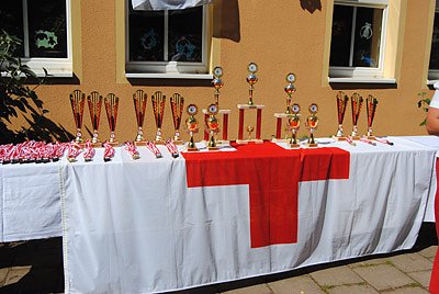 Ergebnisse des Kreiswettbewerbs 2014 (Foto: DRK Sondershausen)