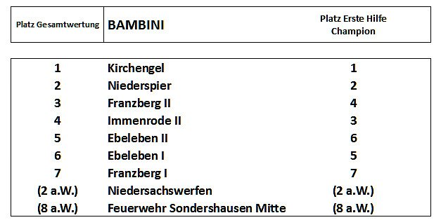 Ergebnisse des Kreiswettbewerbs 2014 (Foto: DRK Sondershausen)