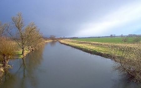 6. Entenrennen (Foto: Eric May)