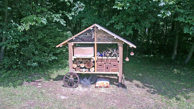 "Projekt in der Natur" (Foto: privat)