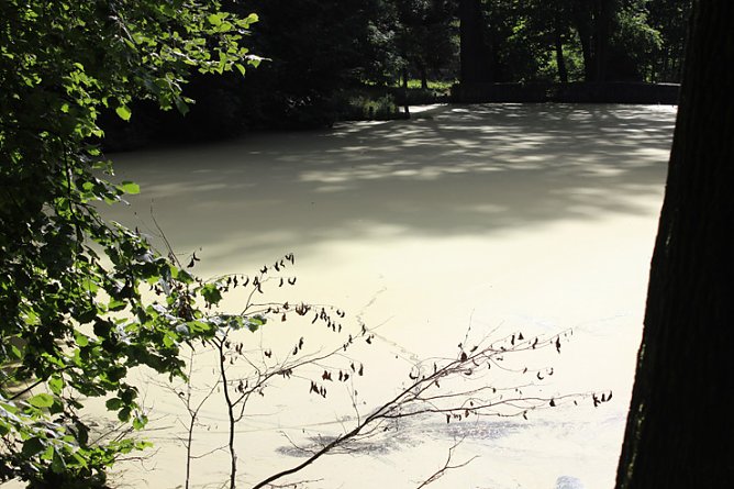 Farbspiele (Foto: Karl-Heinz Herrmann)