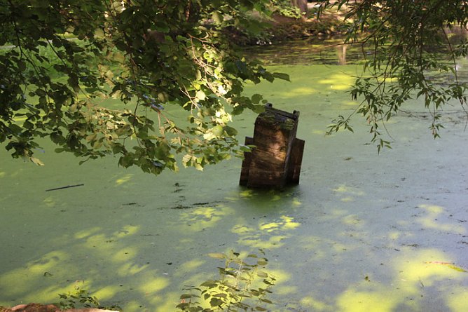 Farbspiele (Foto: Karl-Heinz Herrmann)