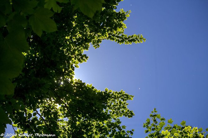 Wetter-Bild (Foto: Gernot Thelemann)