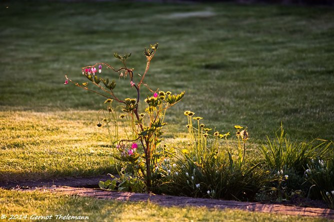 Wetterbild (Foto: Gernot Thelemann)