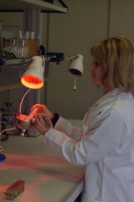 Letzte Chance (Foto: Stadt Bad Frankenhausen) Letzte Chance (Foto: Stadt Bad Frankenhausen)