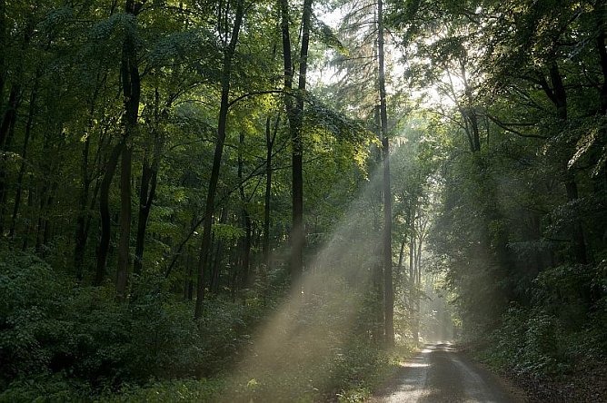 Naturf&uuml;hrung der besonderen Art (Foto: Hohe Schrecke)