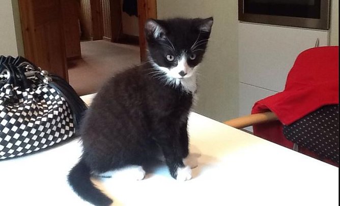 kn-in K&uuml;rze (Foto: Privat)