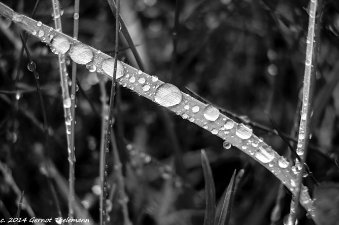 Wetterbild (Foto: Gernot Thelemann)