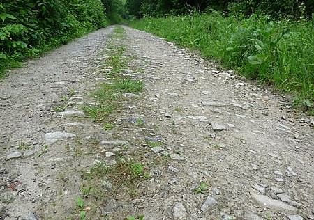Das weckt Begehrlichkeiten! (Foto: Karl-Heinz Herrmann) Das weckt Begehrlichkeiten! (Foto: Karl-Heinz Herrmann)