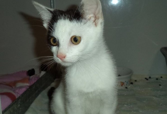 Holger (Foto: C. Knust) Holger (Foto: C. Knust)