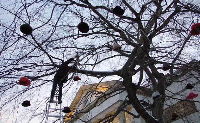 Hut am Baum (Foto: Wolfgang Kurima Rauschning) Hut am Baum (Foto: Wolfgang Kurima Rauschning)