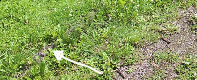 Stolperfalle Kriegerdenkmal? (Foto: Karl-Heinz Herrmann) Stolperfalle Kriegerdenkmal? (Foto: Karl-Heinz Herrmann)