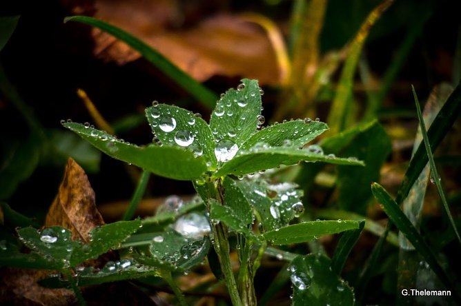 Wetter-Bild (Foto: Gernot Thelemann)