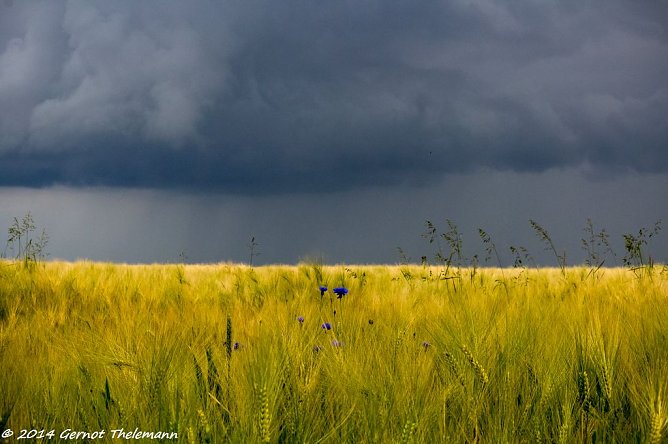 Wetter-Bild (Foto: Gernot Thelemann)