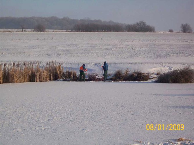 Pflege Teichkläranlagen (Foto: TAZ Sondershausen) Pflege Teichkläranlagen (Foto: TAZ Sondershausen)
