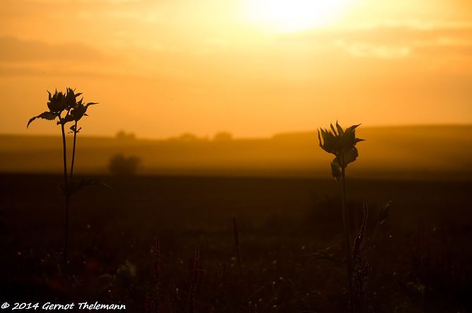 Wetterbild (Foto: Gernot Thelemann) Wetterbild (Foto: Gernot Thelemann)