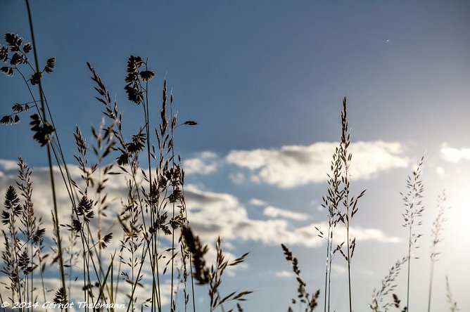 Wetterbild (Foto: Gernot Thelemann) Wetterbild (Foto: Gernot Thelemann)