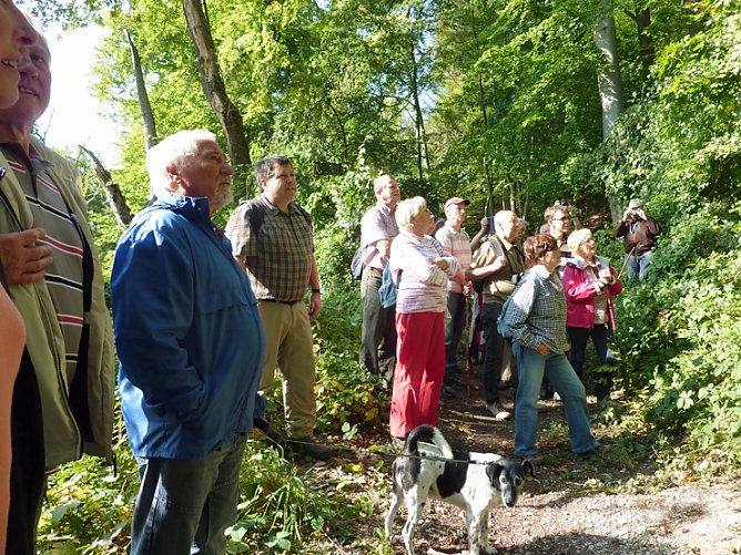 Tag des Geotops 2014 (Foto: Regionalmuseum Bad Frankenhausen)