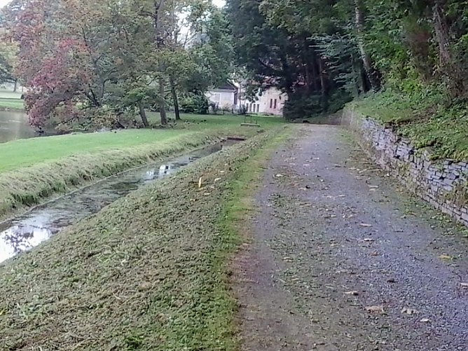 Schlechtes Wasser wegen Grasmahd? (Foto: privat) Schlechtes Wasser wegen Grasmahd? (Foto: privat)