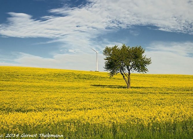 Wetter-Bild (Foto: Gernot Thelemann) Wetter-Bild (Foto: Gernot Thelemann)
