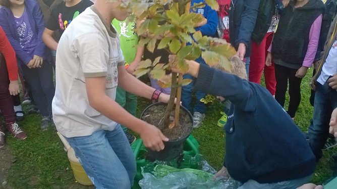 Kinder pflanzen Geburtstagsgeschenk (Foto: Privat)
