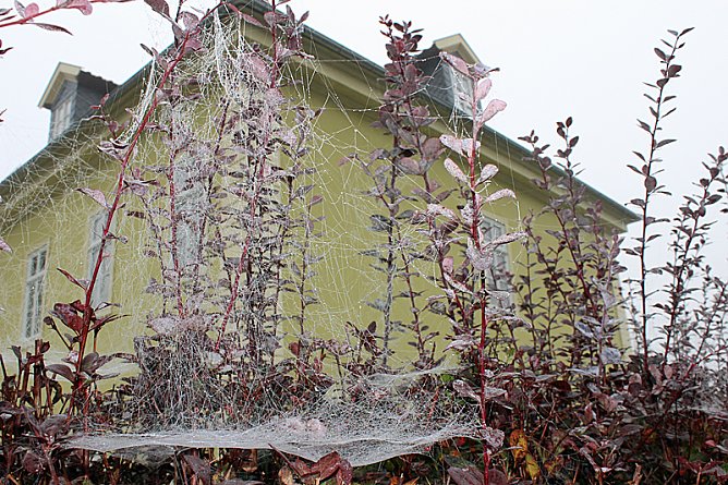 Filigranes aus Sondershausen (Foto: Karl-Heinz Herrmann)