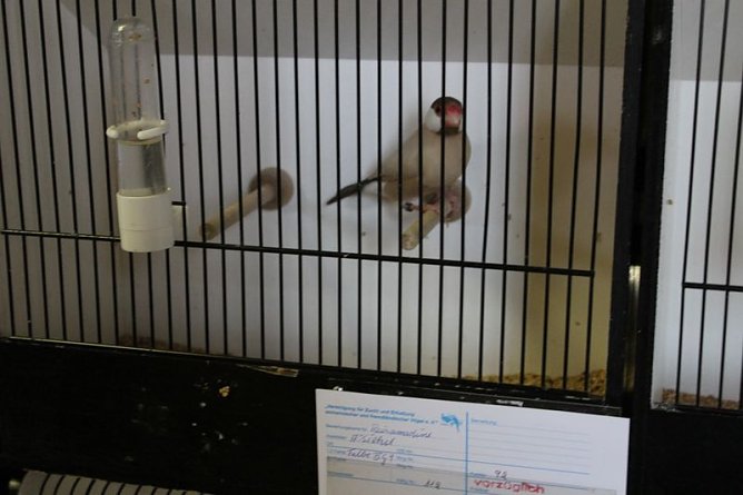 Zauberhafte Ausstellung (Foto: Karl-Heinz Herrmann) Zauberhafte Ausstellung (Foto: Karl-Heinz Herrmann)