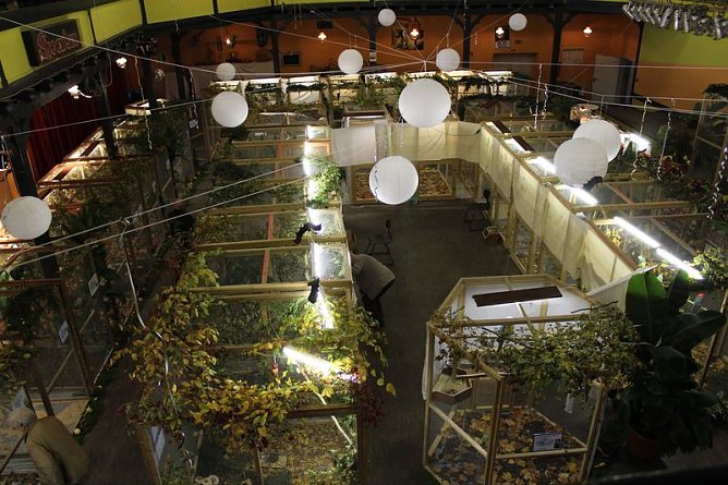 Zauberhafte Ausstellung (Foto: Karl-Heinz Herrmann) Zauberhafte Ausstellung (Foto: Karl-Heinz Herrmann)