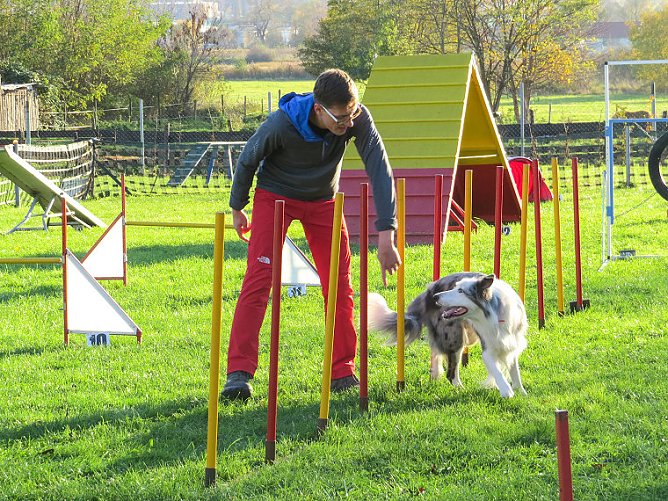 Agility Fun-Turnier in der Hundeschule ABC (Foto: Stadt Bad Frankenhausen) Agility Fun-Turnier in der Hundeschule ABC (Foto: Stadt Bad Frankenhausen)