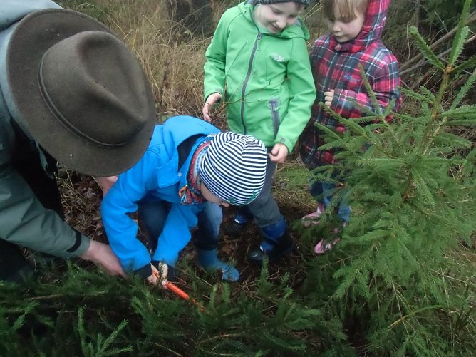 Der Tannenbaum im Winterwald (Foto: Kindervilla Bad Frankenhausen) Der Tannenbaum im Winterwald (Foto: Kindervilla Bad Frankenhausen)