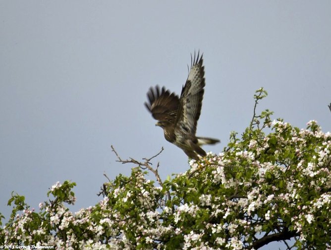 Wetter-Bild (Foto: Gernot Thelemann)