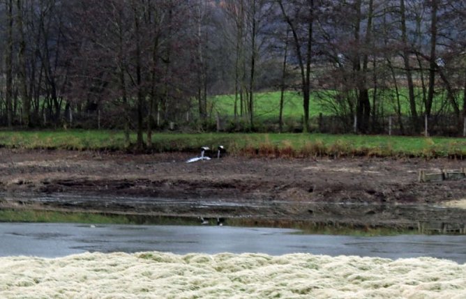 Premiere am Bebraer Teich (Foto: Karl-Heinz Herrmann)