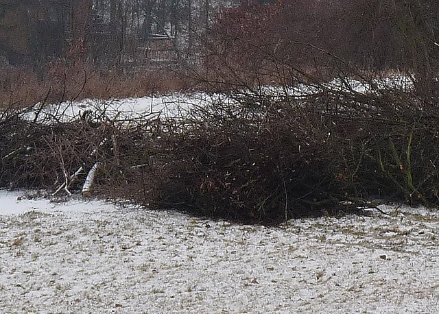 Baumschnitt f&uuml;r Osterfeuer (Foto: Karl-Heinz Herrmann)