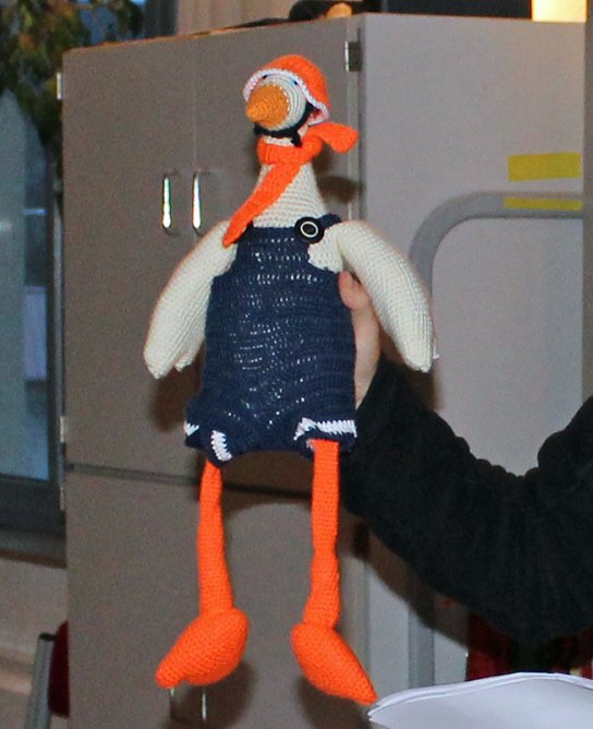 kn in K&uuml;rze (Foto: Karl-Heinz Herrmann)