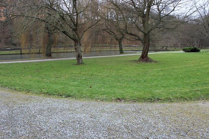 Maulwurfsinvasion im Schlosspark Sondershausen? (Foto: Karl-Heinz Herrmann)