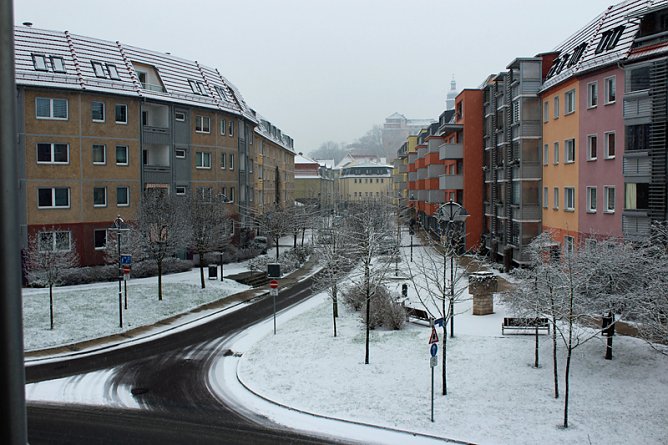 Schnee deckt nicht alles zu (Foto: Privat)