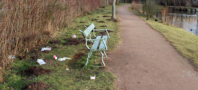 Schnee deckt nicht alles zu (Foto: Privat)