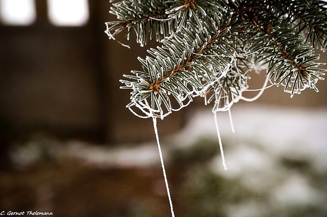 Wetter-Bild (Foto: Gernot Thelemann)