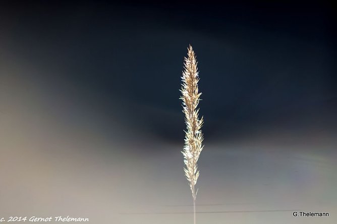 Wetterbild (Foto: Gernot Thelemann)
