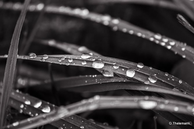 Wetter-Bild (Foto: Gernot Thelemann)