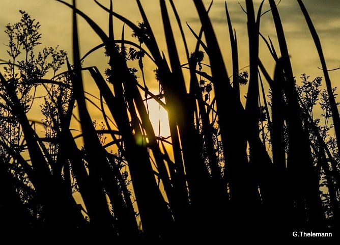 Wetter-Bild (Foto: Gernot Thelemann)