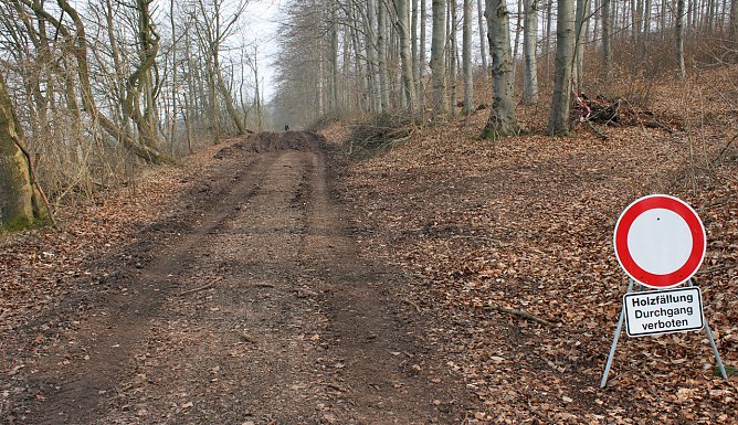 Vorsicht an einigen Wanderwegen (Foto: Karl-Heinz Herrmann)