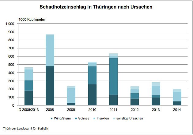 Schadholzeinschlag in Th&uuml;ringen nach Ursachen (Foto: Th&uuml;ringer Landesamt f&uuml;r Statistik)