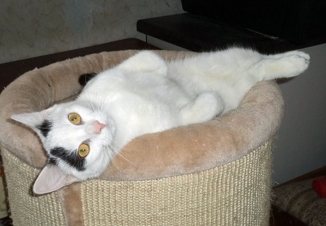 Ella (Foto: B. Hellrung)